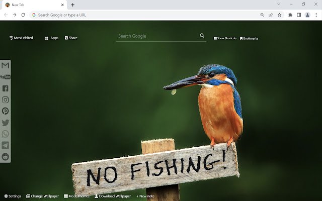 Kingfisher Wallpaper  from Chrome web store to be run with OffiDocs Chromium online