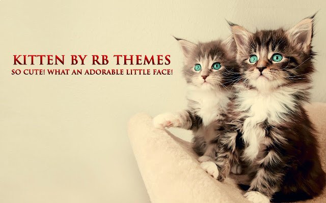 Kitten By RB Themes  from Chrome web store to be run with OffiDocs Chromium online