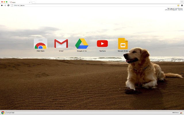 Labrador Retriever  from Chrome web store to be run with OffiDocs Chromium online