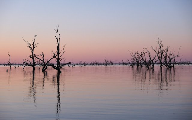 Lake Reflections  from Chrome web store to be run with OffiDocs Chromium online