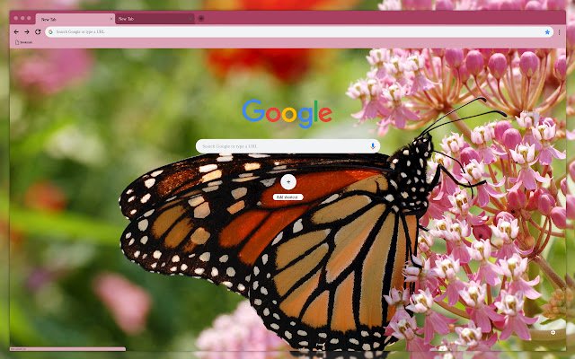 Largest butterfly  from Chrome web store to be run with OffiDocs Chromium online