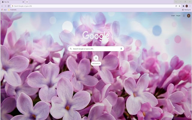 Lilac Sky HD Wallpaper Theme  from Chrome web store to be run with OffiDocs Chromium online