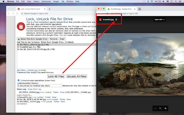 Lock, UnLock File for Drive  from Chrome web store to be run with OffiDocs Chromium online