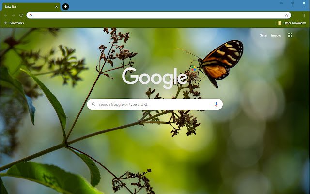 Lone Butterfly III  from Chrome web store to be run with OffiDocs Chromium online