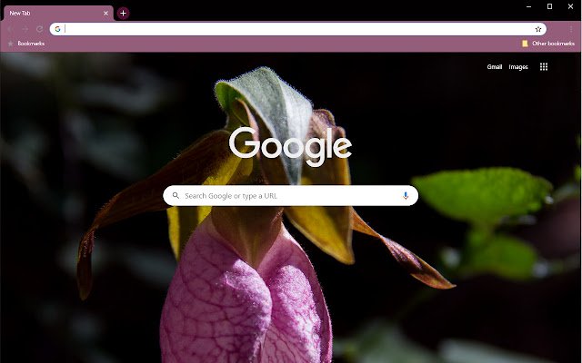 Lone Pink Lady Slipper  from Chrome web store to be run with OffiDocs Chromium online