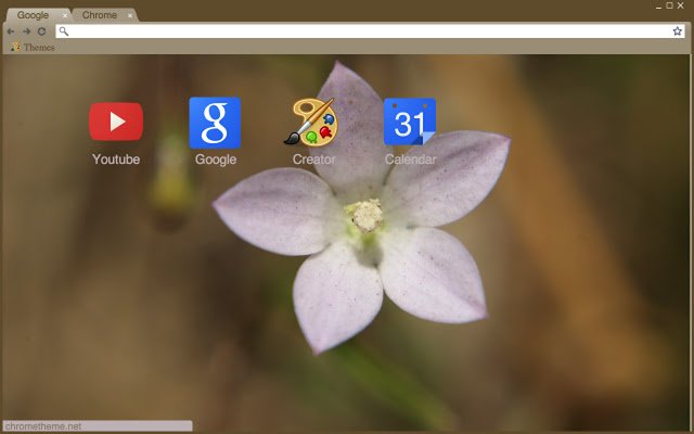 Macro on Flower  from Chrome web store to be run with OffiDocs Chromium online