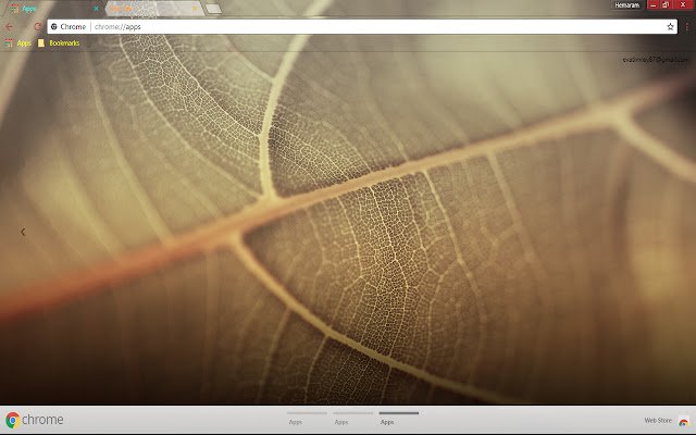 Macro Plant  from Chrome web store to be run with OffiDocs Chromium online