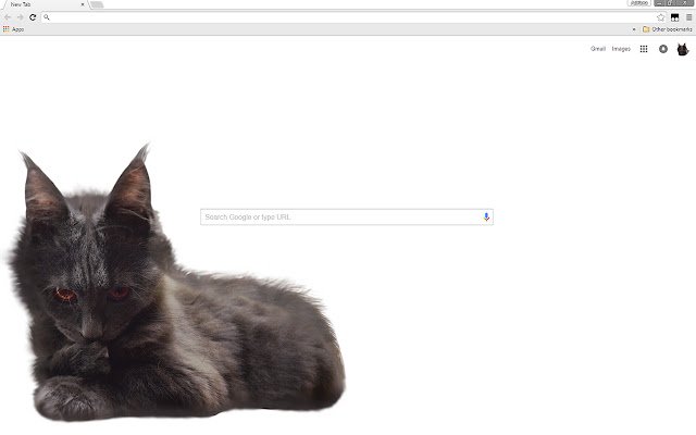 Maine Coon Cat Theme  from Chrome web store to be run with OffiDocs Chromium online