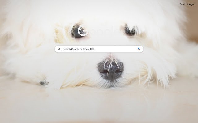 Maltese for Chrome  from Chrome web store to be run with OffiDocs Chromium online