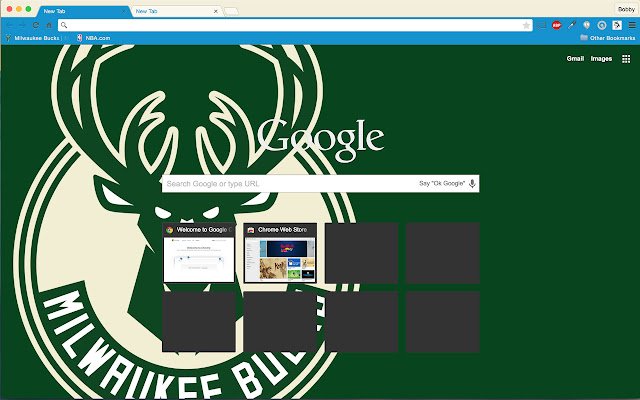 Milwaukee Bucks Theme  from Chrome web store to be run with OffiDocs Chromium online