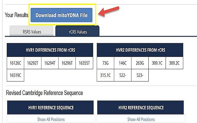 mitoYDNA File  from Chrome web store to be run with OffiDocs Chromium online