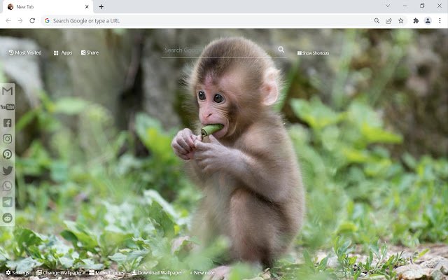 Chrome ウェブストアの Monkey Wallpaper HD New Tab が OffiDocs Chromium オンラインで実行可能