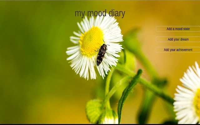 My mood diary v1  from Chrome web store to be run with OffiDocs Chromium online