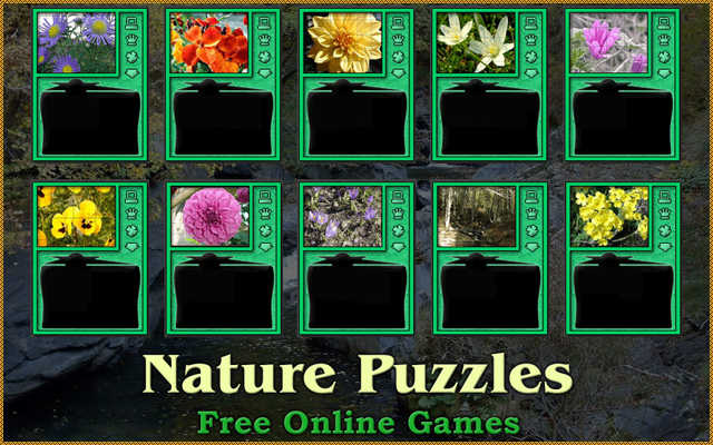 Nature Puzzles de Chrome web store se ejecutará con OffiDocs Chromium en línea