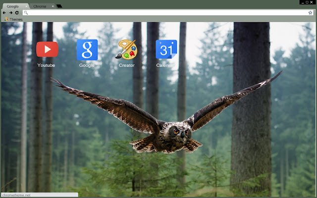 Nature Series Owl  from Chrome web store to be run with OffiDocs Chromium online