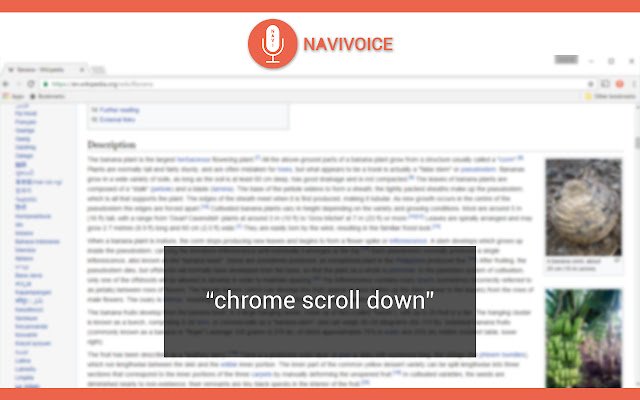 NaviVoice: Voice Input Productivity Assistant  from Chrome web store to be run with OffiDocs Chromium online