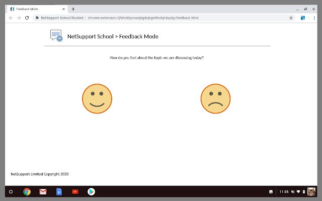 NetSupport School Student  from Chrome web store to be run with OffiDocs Chromium online