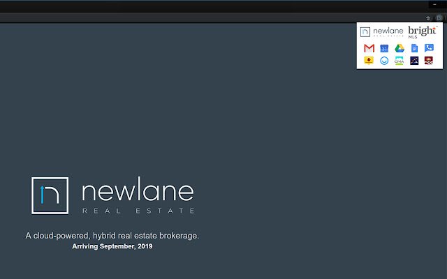 Newlane Real Estate Launcher  from Chrome web store to be run with OffiDocs Chromium online