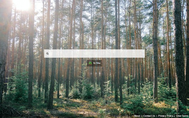 New Tab Direct Forest  from Chrome web store to be run with OffiDocs Chromium online