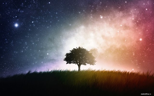 Night Tree aus dem Chrome Web Store kann mit OffiDocs Chromium online ausgeführt werden