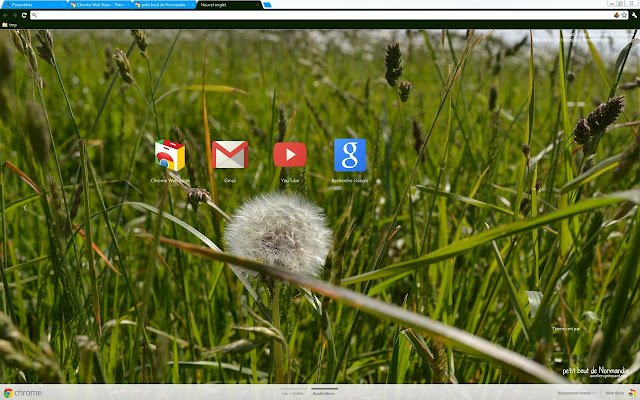 Normandie Ground peace  from Chrome web store to be run with OffiDocs Chromium online