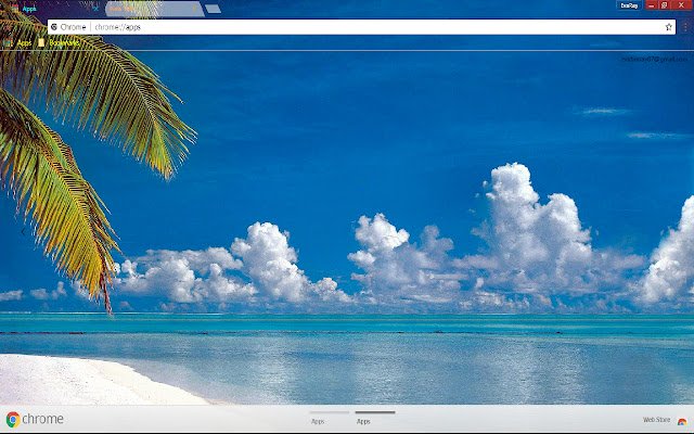 Ocean Palm Tree Reflection từ cửa hàng Chrome trực tuyến sẽ được chạy bằng OffiDocs Chrome trực tuyến