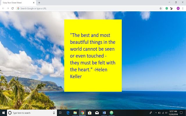 Ocean Views  from Chrome web store to be run with OffiDocs Chromium online