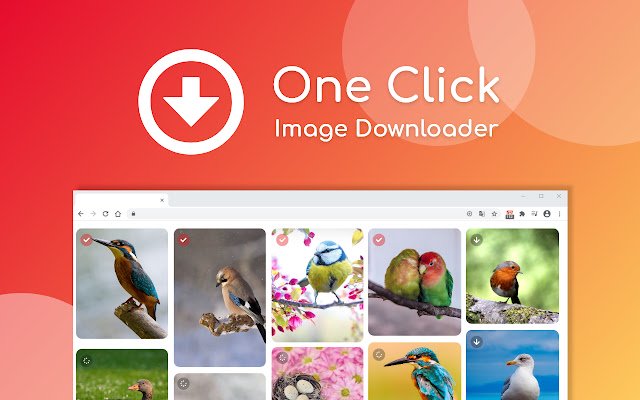 One Click Image Downloader  from Chrome web store to be run with OffiDocs Chromium online