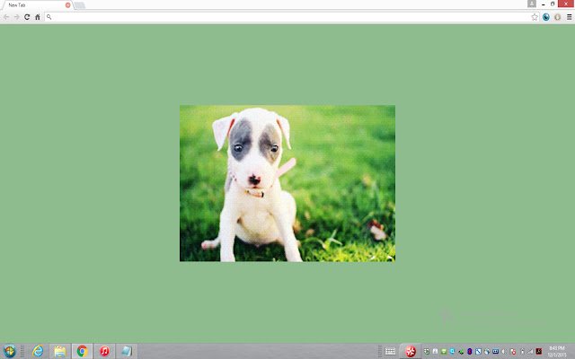 OpenPuppies aus dem Chrome Web Store können mit OffiDocs Chromium online ausgeführt werden