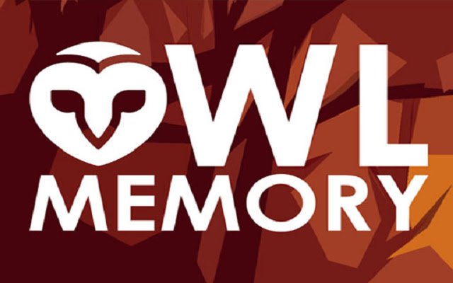 Owl Memory  from Chrome web store to be run with OffiDocs Chromium online