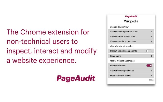 PageAudit  from Chrome web store to be run with OffiDocs Chromium online