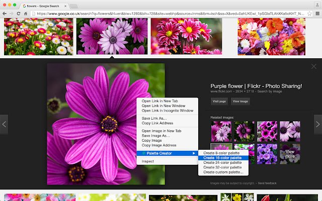 Palette Creator  from Chrome web store to be run with OffiDocs Chromium online