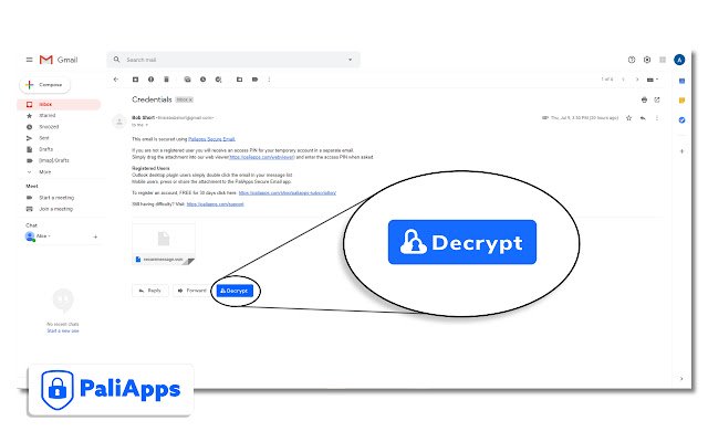 PaliApps Secure Email  from Chrome web store to be run with OffiDocs Chromium online