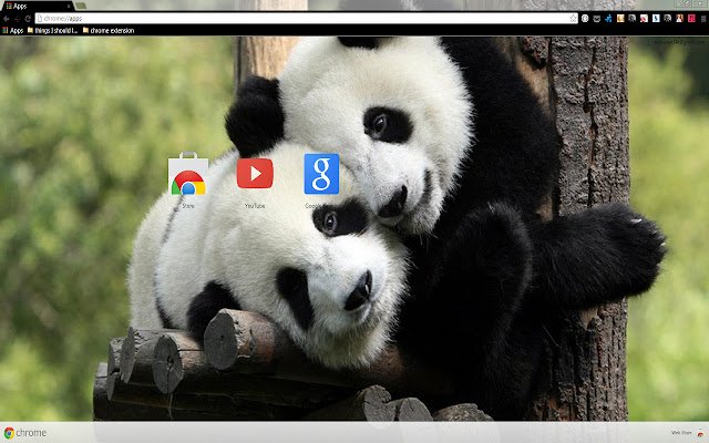 Panda Love para una resolución de 1366 X 768 de Chrome web store para ejecutarse con OffiDocs Chromium en línea