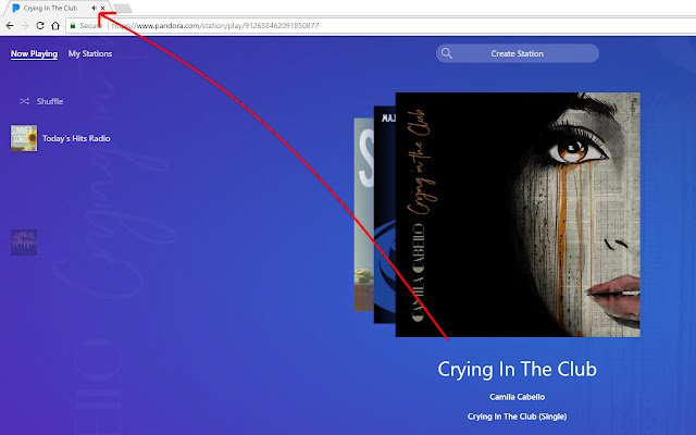 Pandora Control از فروشگاه وب Chrome با OffiDocs Chromium به صورت آنلاین اجرا می شود