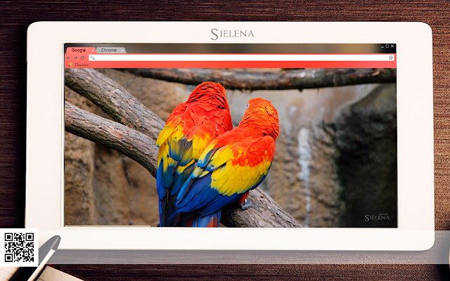 Parrots (tema Sielena) de la tienda web de Chrome se ejecutará con OffiDocs Chromium en línea