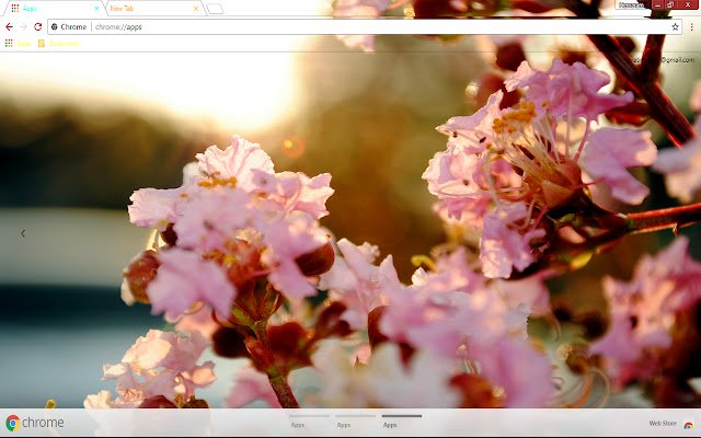 Chrome 网上商店的 Pastel Spring 将与 OffiDocs Chromium 在线运行