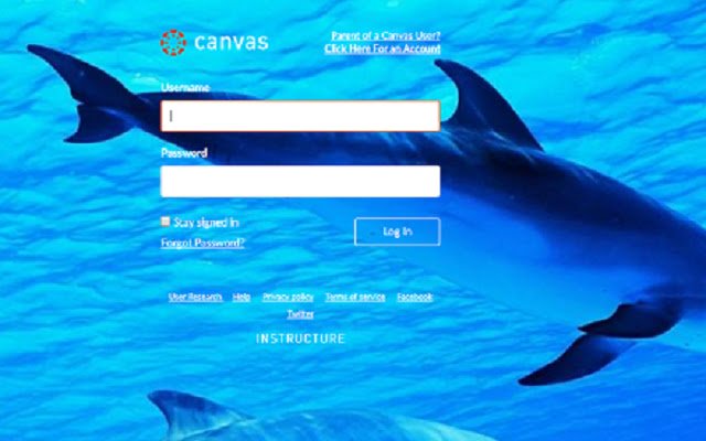 PCHS Canvas  from Chrome web store to be run with OffiDocs Chromium online