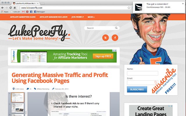 PeerFly Stats  from Chrome web store to be run with OffiDocs Chromium online