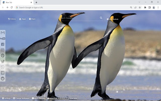 Penguin Wallpaper New Tab  from Chrome web store to be run with OffiDocs Chromium online