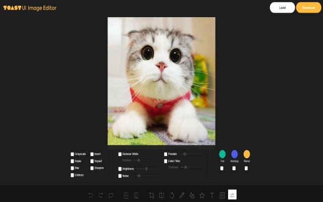 Photo Editor in Google Chrome™  from Chrome web store to be run with OffiDocs Chromium online