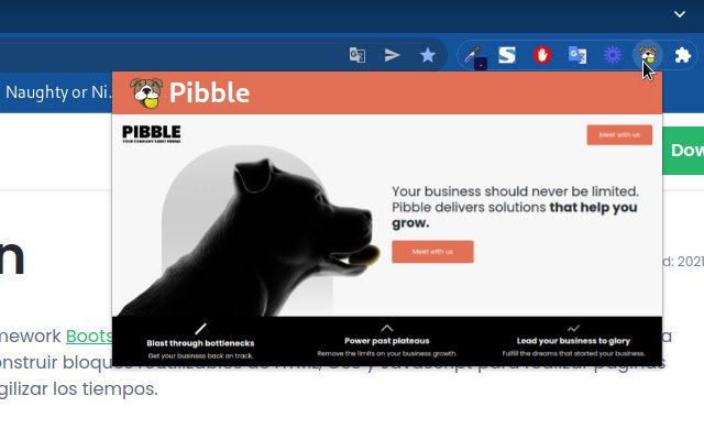 Pibble از فروشگاه وب Chrome برای اجرای آنلاین با OffiDocs Chromium