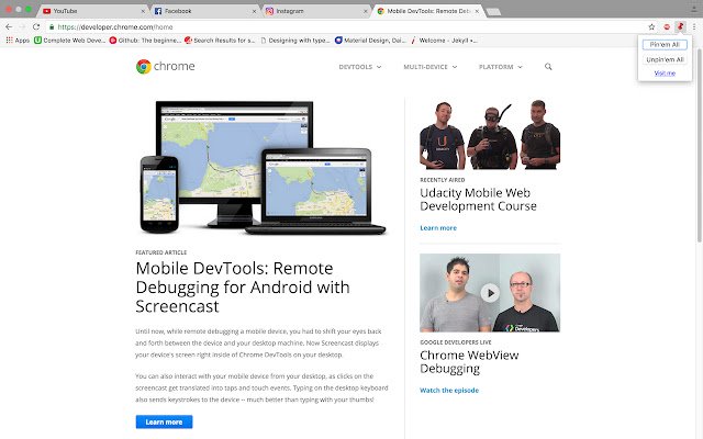 Pinem All  from Chrome web store to be run with OffiDocs Chromium online