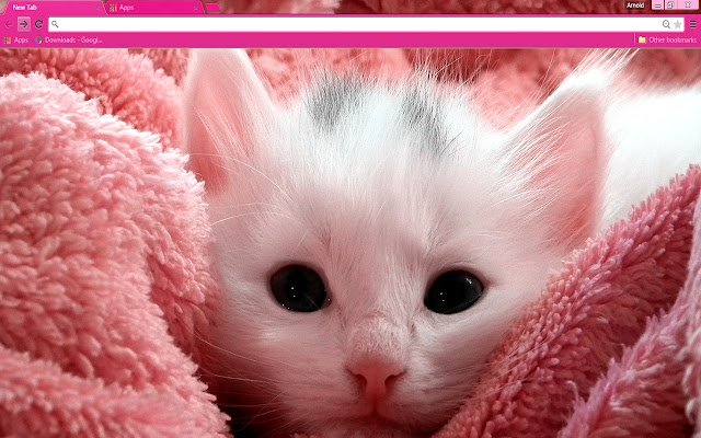 Chrome web mağazasından Pink Kitten çevrimiçi OffiDocs Chromium ile çalıştırılacak