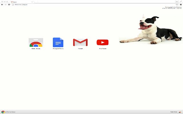 Pitbull Dog  from Chrome web store to be run with OffiDocs Chromium online