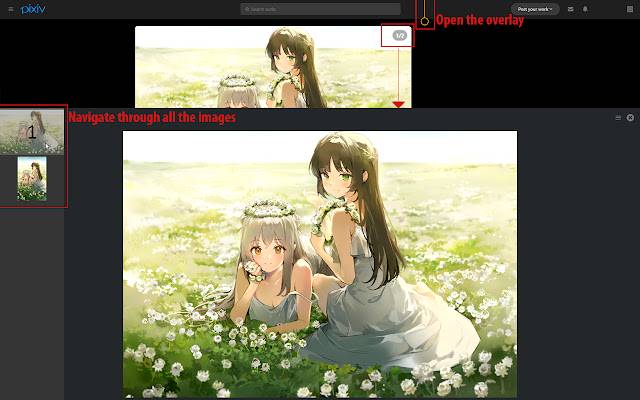 Superposition d'images Pixiv de la boutique en ligne Chrome à exécuter avec OffiDocs Chromium en ligne