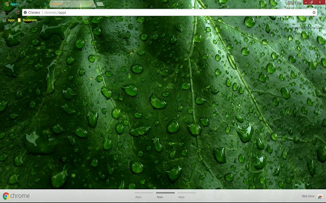 Plant Raindrops  from Chrome web store to be run with OffiDocs Chromium online