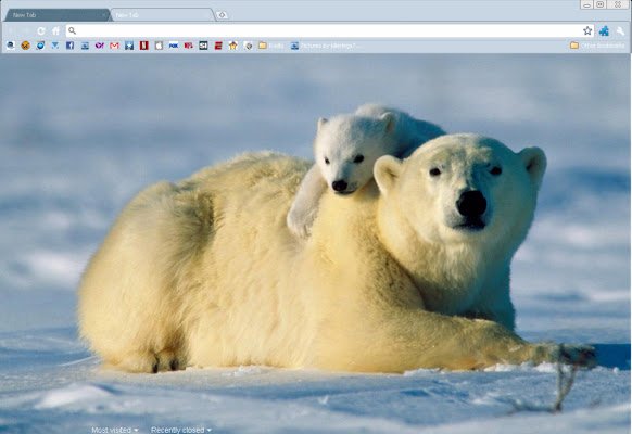 Polar Theme จาก Chrome เว็บสโตร์ที่จะรันด้วย OffiDocs Chromium ทางออนไลน์