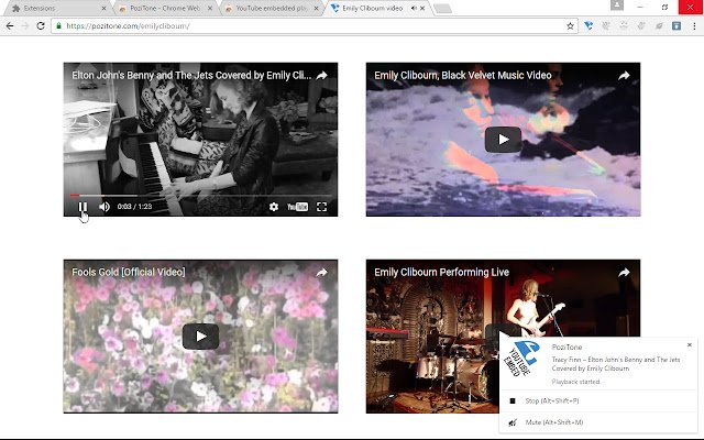 PoziTone module for YouTube embedded player  from Chrome web store to be run with OffiDocs Chromium online