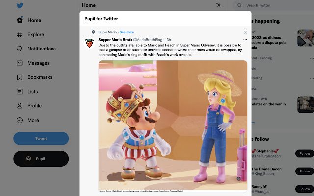 Pupil for Twitter  from Chrome web store to be run with OffiDocs Chromium online